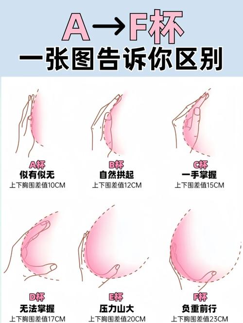 體相學中女人胸太大是“賤”嗎？什么樣的胸才算是好命