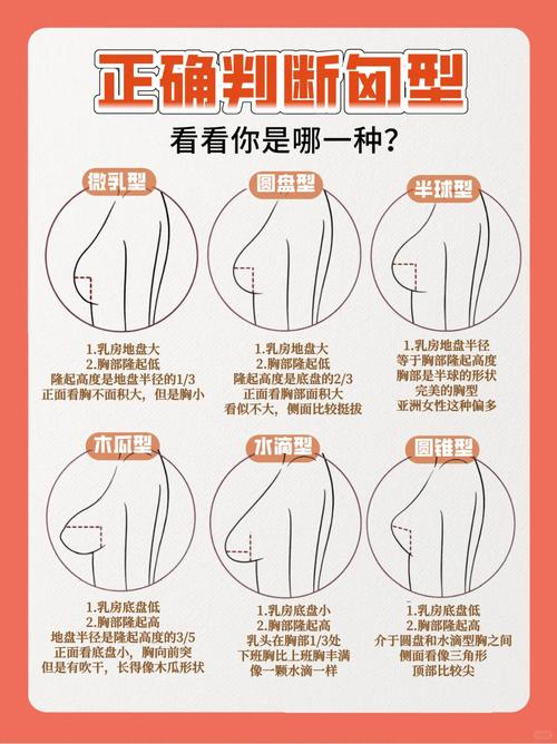 女人胸部解析一生命運
