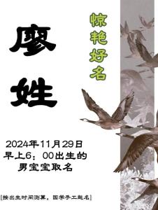 有詩意的廖姓雙胞胎男孩起名