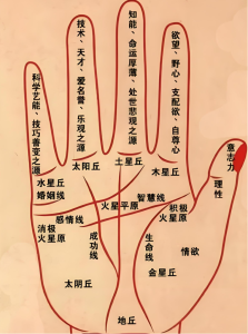 手相看什么樣的人最有熱忱