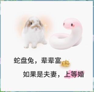 蛇盤兔是男蛇還是女蛇 女蛇男馬是不是斷頭婚
