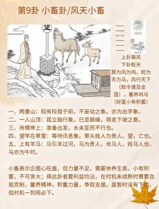 小畜卦測感情復合 風天小畜問有沒有緣分