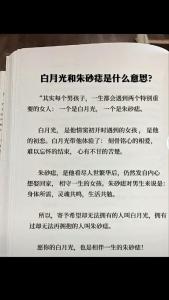 朱砂痣的意思是什么