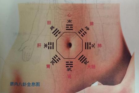 肚臍看你一生運勢吉兇