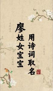廖姓雙胞胎女孩起名