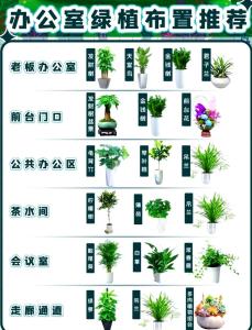 鮮花在辦公室風水布局中的作用