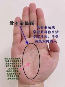 老來會有成就的命運線