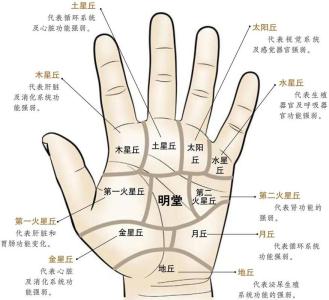 男人的左手的手相圖解 男人手紋分析左手的