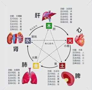 五臟的五行屬性，五臟與五行的關系