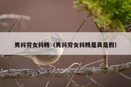鄭博士：為何說男抖窮，女抖賤？