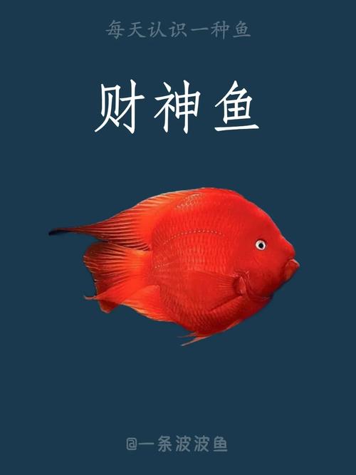 財(cái)神魚(yú)風(fēng)水講究