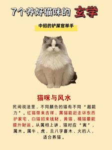 2020年家中來貓有什么風(fēng)水預(yù)兆