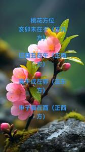 怎樣的八字有桃花劫 感情混亂容易走向破滅