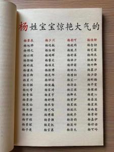 姓名配對超準 姓楊和姓什么的人最配