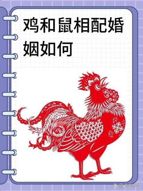 媽媽屬雞寶寶屬鼠好不好  親緣關(guān)系良好