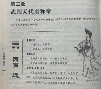 推背圖第四象：張柬之奪武則天政權
