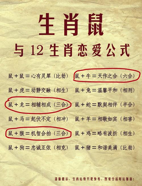 屬鼠女人夢(mèng)中情人類型 屬鼠人談戀愛注意事項(xiàng)