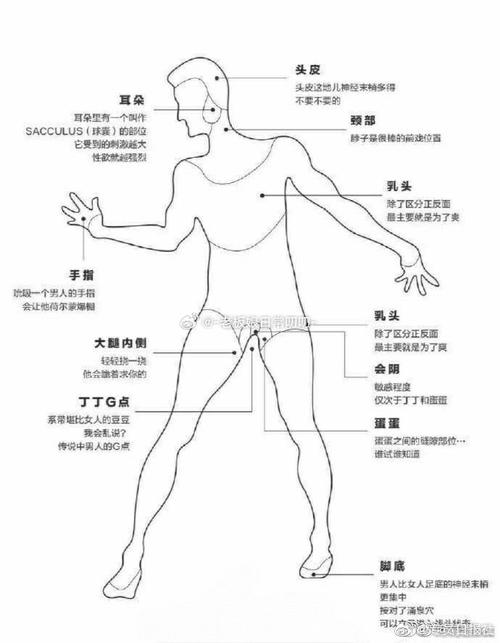 男人挑女人都看哪些部位