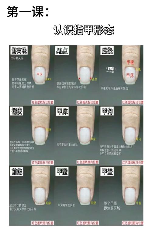 指甲看你命運是否坎坷