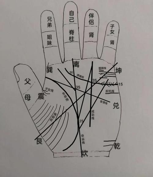 手相學：三分熱度毀了你的事業