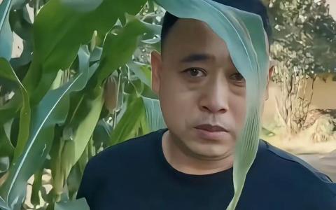 無能老公的面相