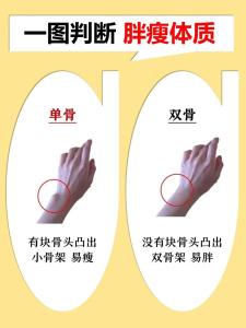 人的骨肉比例與福祿有關嗎