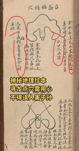 命理中的御夫十妙術