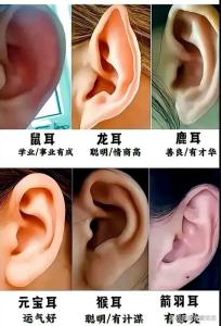 有福氣的耳朵長(zhǎng)啥樣