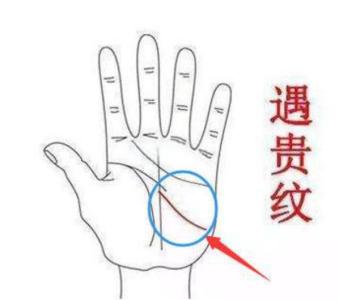 遇貴紋是指哪條線