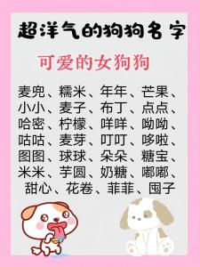 好聽的狗寶寶女名