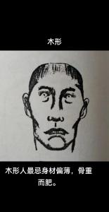 木型人的體型特征