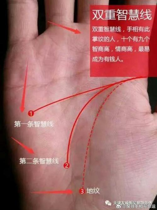 什么手相的人智商高能力強