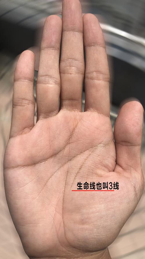 生命線短的人壽高嗎