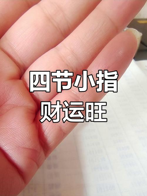 小拇指四節是什么命