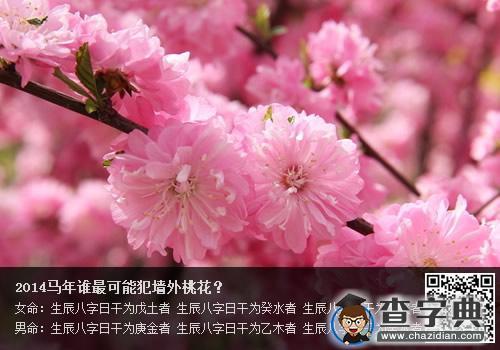 2014馬年誰最有可能犯墻外桃花？