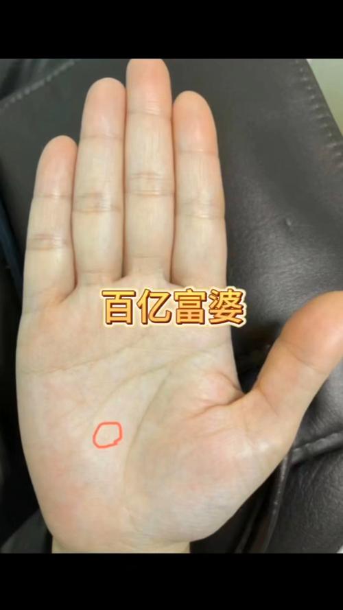 注定有錢的女人手相不愁錢財