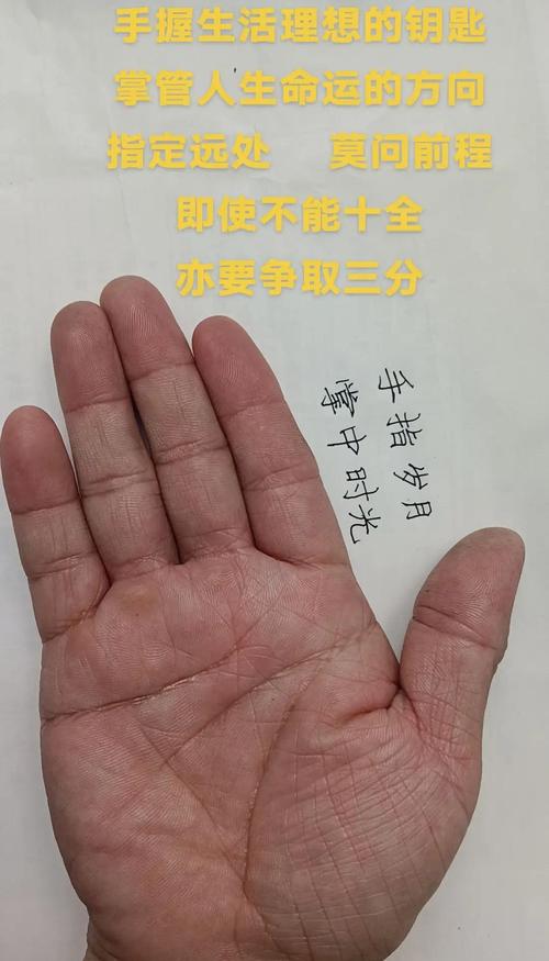 一絲不茍 這些手相的人做事認(rèn)真