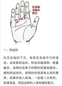 無名指下面的豎線代表什么