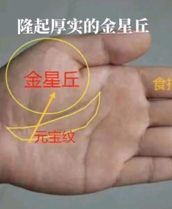 金星丘飽滿什么意思 金星丘飽滿好不好