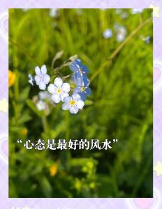 助工作調(diào)動的風水 采光充足心情陽光