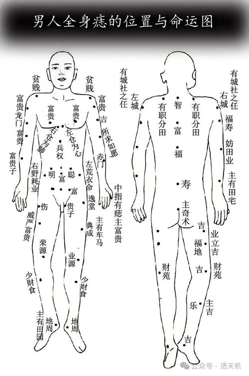 男人肚子有痣