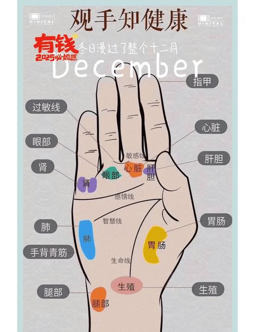 女生右手手相代表什么 女人右手手相圖解大全
