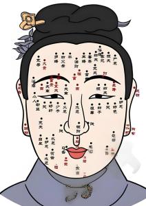 地庫痣范圍