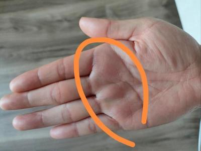 手相三丘隆起大富大貴 三丘飽滿異性緣超旺