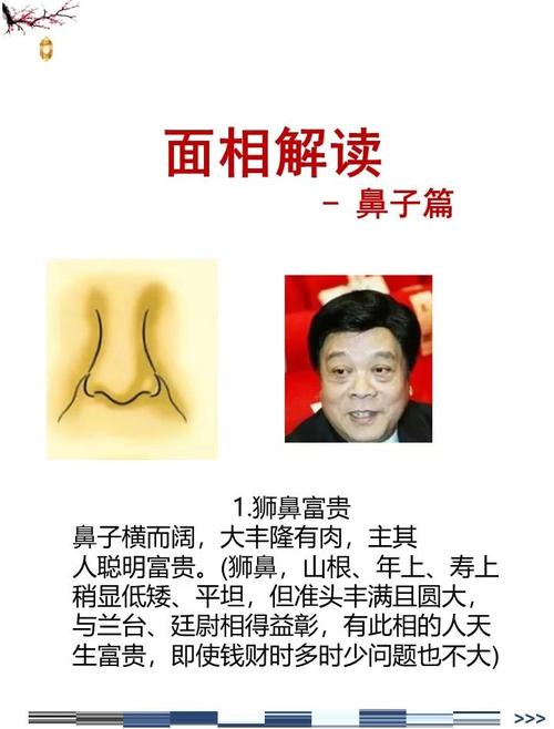 鼻子尖的男人面相?一生運勢怎么樣