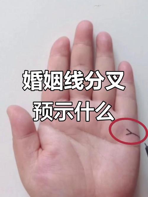 婚姻線分叉的人婚姻走不到盡頭嗎