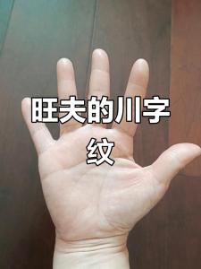 川字紋手掌的人能不能發財