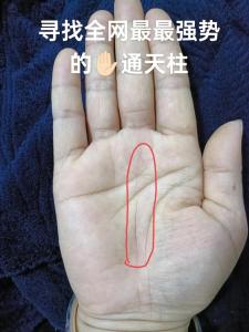 女人左手有川字紋財運好不好