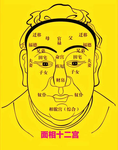 中國面相學圖解 容易創造奇跡的人