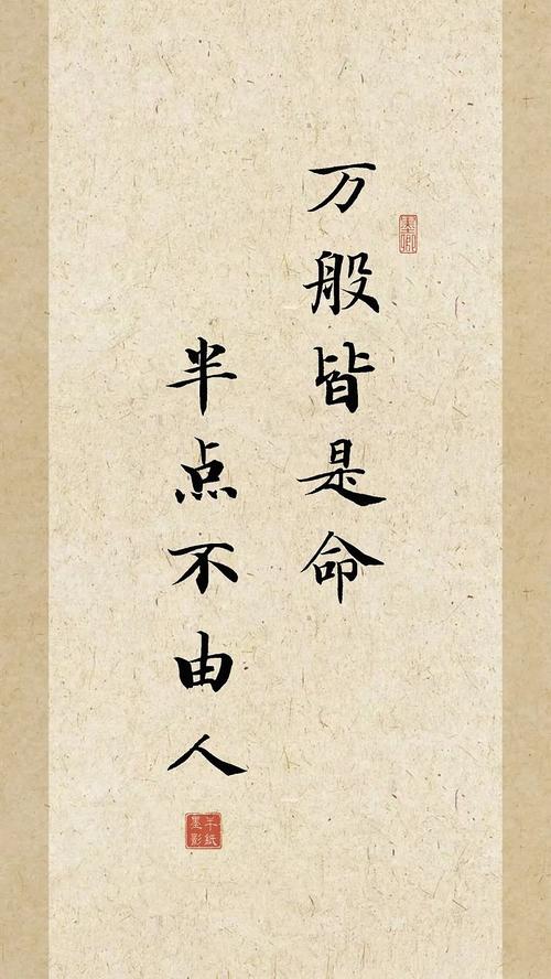 你說萬般皆命我說富貴不由人,萬般皆是命半點不由人這句話什么意思